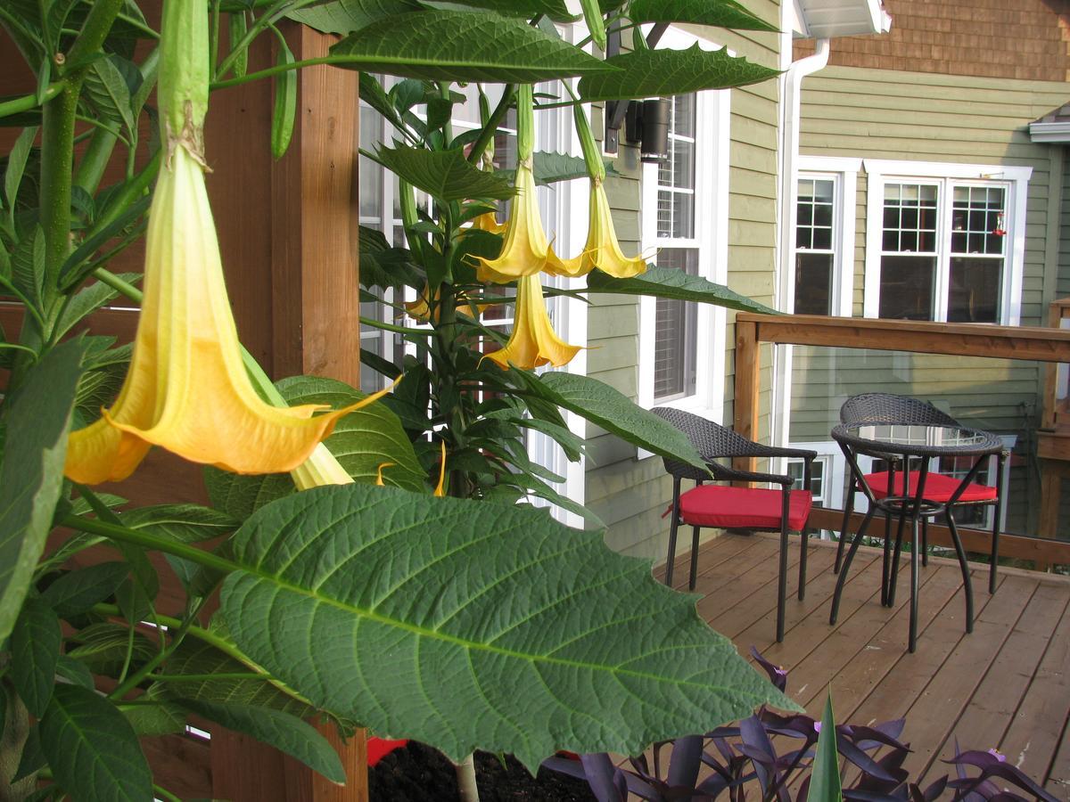 Gi'Temps Couette Et Cafe B&B Granby Exteriér fotografie